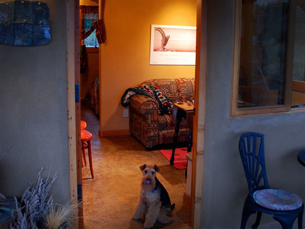 Bighorn Ridge Guesthouse Okanagan Falls Bagian luar foto