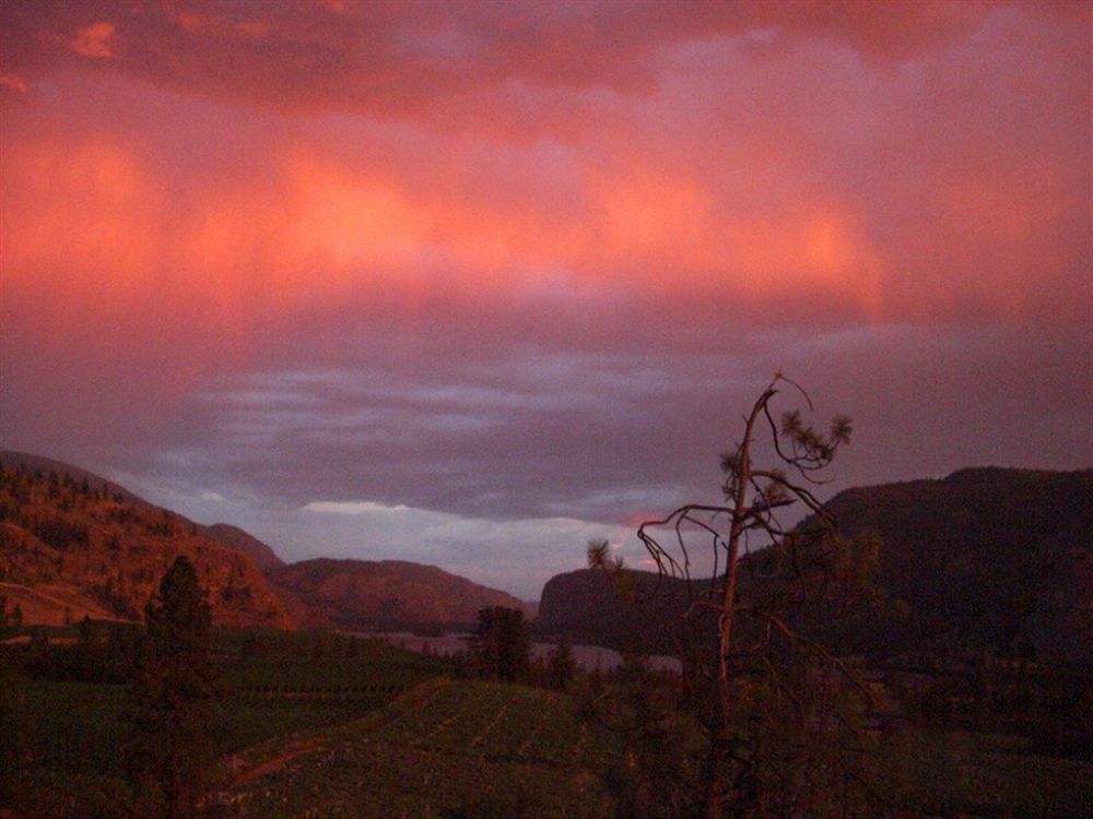 Bighorn Ridge Guesthouse Okanagan Falls Bagian luar foto
